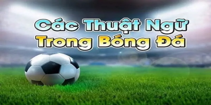 Khi đã tham gia cá cược thì bắt buộc bạn phải nắm rõ các thuật ngữ cá độ bóng đá