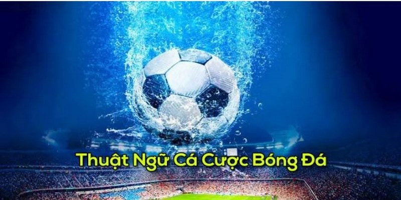 Khi nắm được thuật ngữ sẽ dễ dàng dễ dàng lựa chọn cược phù hợp với chiến thuật 
