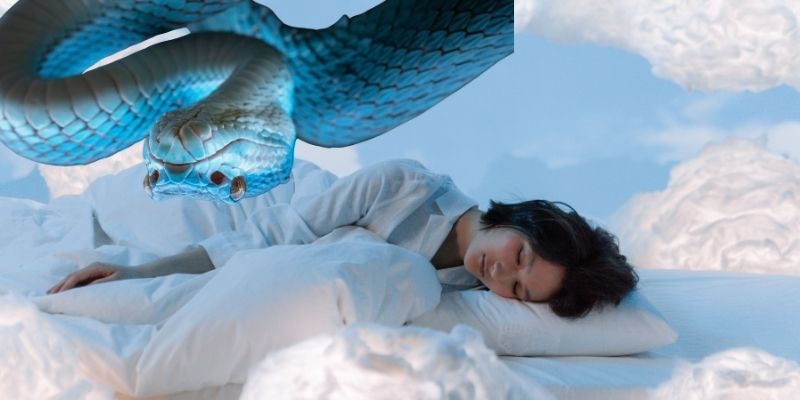 Chú ý khi tìm hiểu về việc mơ thấy rắn đánh con gì