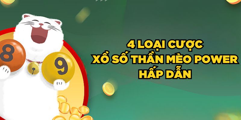 4 loại cược Xổ Số Thần Mèo Power hấp dẫn