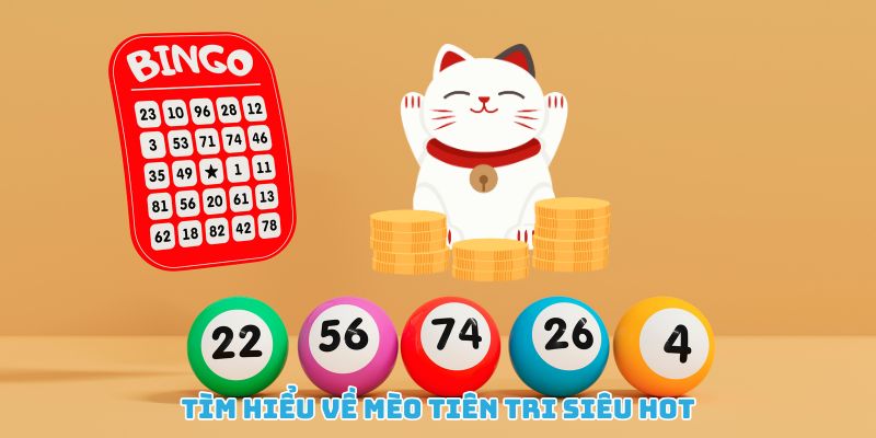 Mèo Tiên Tri Dự Đoán Xổ Số Tạo Sóng Cộng Đồng Mạng 2025 1 Mèo tiên tri dự đoán xổ số gây sốt với cách chơi độc đáo