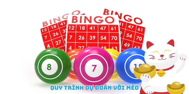 Mèo Tiên Tri Dự Đoán Xổ Số Tạo Sóng Cộng Đồng Mạng 2025 2 Mèo tiên tri dự đoán xổ số theo quy trình chọn số ngẫu nhiên